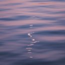 달빛풍경 이미지