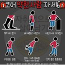여주-0811 네이버블로그