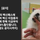 원쿡아카데미 네이버블로그