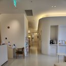 이홍주 여성의원 | 앞둔 그날 참고 참다가 여성 갱년기 증상을 극복하기 위해 이홍주 여성 의원을 가다 내 돈 내산 후기