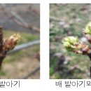 가평군농업기술센터 이미지