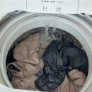 대우고급세탁 이미지