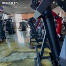 불독휘트니스 이미지