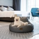 속초로망스애견동반펜션 이미지