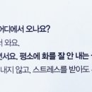 와이컴퍼니 이미지