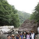 이리오시요 이미지