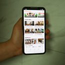 포인핸드 건강검진센터 | 포인핸드 유기견 입양절차 경의숲점 이용방법