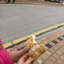 다리 풀렸는데... 여기서 밥 먹고 기운 풀 충전했습니다.현지인 추천 맛집 '늘푸른 쉼터' 솔직 후기
