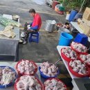 신양1길 이미지