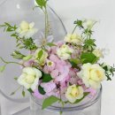 로얄파크장 이미지