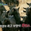 산내들 흑염소 이미지