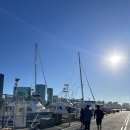 7599 | 와이키키 터틀 캐년 후기-초보도 가능한 하와이 거북이 스노클링