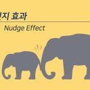 넛지 티스토리