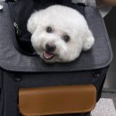 주정차CCTV-진사도서관 | 6월