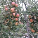 해풍농장 이미지