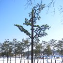 다원테크 이미지