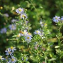 전주중인초등학교 이미지