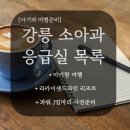 아기랑 강릉 국내여행 소아과 응급실 정보