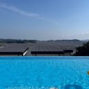 미스터와이 애견풀빌라 이미지