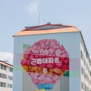 수국정원 | 유구 수국축제 색동수국정원 후기