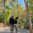 김포-대곶-김포 비상-015 | 세번째. 김포 여울지 숲속 캠핑장 - 첫 입식 도전!