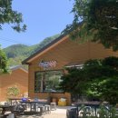 산채뜰 | 울릉도 여행 필수 코스! 나리분지 야영장식당 산채비빔밥 맛집 후기