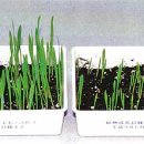 귀보석 - 수원시 권선구 세지로82번길 3 | 귀보석