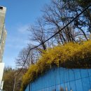 신남초정문 이미지