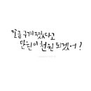 월벤 | [여행]월벤 후기