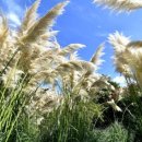 거창중앙고등학교 이미지