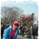 고운미소 - 부산진구 | 고운미소