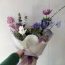 보태니컬 플랜(Botanical Plan) 이미지