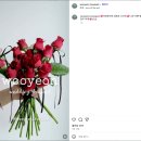 쥬드플레르 | 바라던그예쁨 헤어변형(시안 팁)+우연화,퀼린부케(feat.헤이쥬드스튜디오)