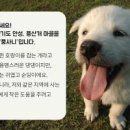 진학농장 이미지