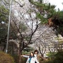 광명체육관 이미지