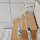 전좌로 | 35주 출산 고대구로 니큐 후기