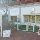 멍멍부띠끄 이미지