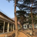 포러데이팔당 애견동반카페,보스턴테리어 둔룽이와 함께한 시간❤️