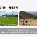 황금목장투 이미지