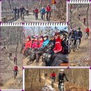 우면산3-19 이미지