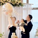 메인돌 | [르벨라스냅] 송도 쎄쎄쎄 돌잔치 #아이폰메인스냅 돌잔치스냅 돌스냅 인천돌잔치장소 쎄쎄쎄후기