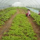 옹고집장집 이미지