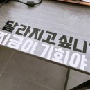 비비테라피 네이버블로그