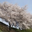 산호대로25길-8 이미지