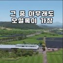 제주 이니스프리제주관도 함께 있는 오설록 티뮤지엄 녹차밭도 멋짐 이미지