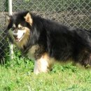 럭키농장 이미지