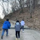 솔향태권도 이미지