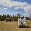 여주-1099 이미지