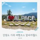 사슴방목장 | 강원도 가족 여행 코스, 아이와 가볼 만한 곳 홍천 알파카월드 방문 후기