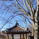 담양오방길5코스(누정길) 이미지